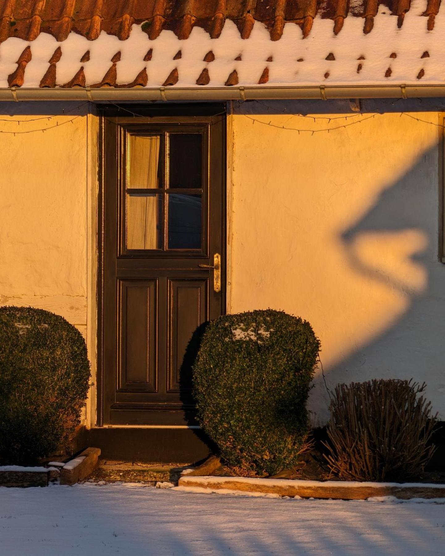 Le Roi Des Oiseaux - Gite A La Campagne Montcavrel Exterior foto